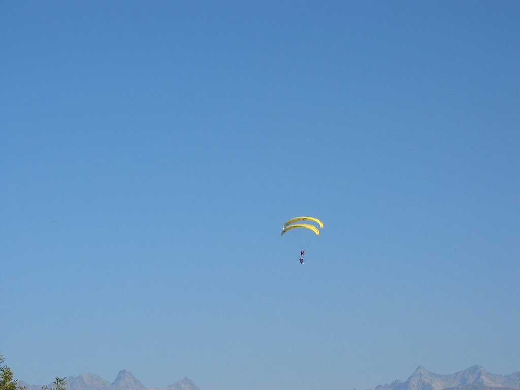 Voiles contact 2.jpg